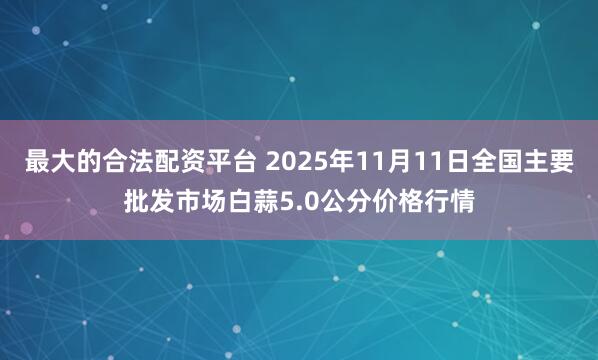 最大的合法配资平台 2025年11月11日全国主要批发市场白蒜5.0公分价格行情